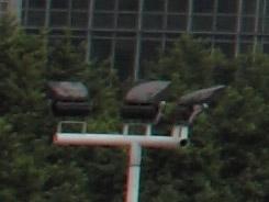 ���ŵ������῵D3100/����550D�Ա�����(6)