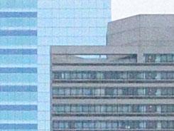 ���ŵ������῵D3100/����550D�Ա�����(6)