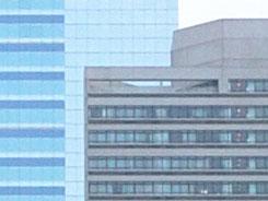 ���ŵ������῵D3100/����550D�Ա�����(6)