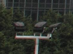 ���ŵ������῵D3100/����550D�Ա�����(6)