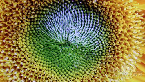 ����LED��1299Ԫ������23Ӣ����ʾ������(4)