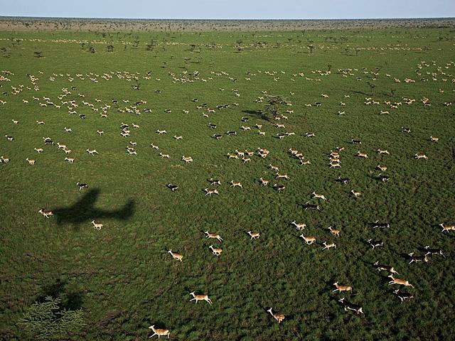 国家地理每日一图：2月13-7日，2011年