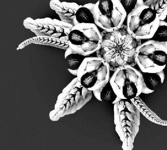 绚丽花朵<em>人体</em>制造(图)_科学探索_科技时代_