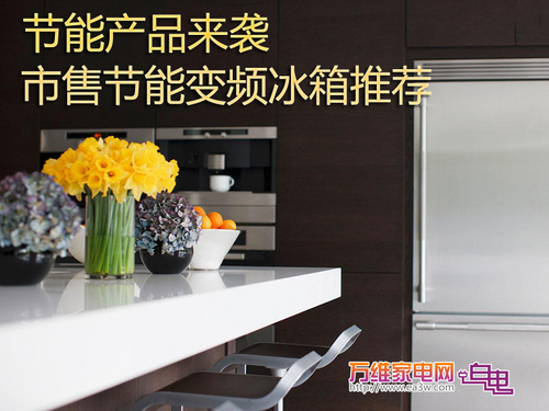 节能产品来袭 市售节能变频冰箱推荐