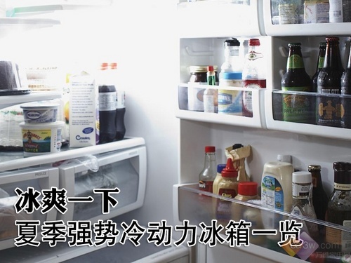 冰爽一下 夏季强势冷动力冰箱一览