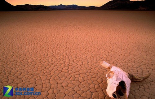 请保护好您的相机 编辑教你怎样保养相机 