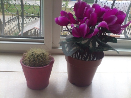 800万像素 摩托触控双核智能ME865评测(5)_手