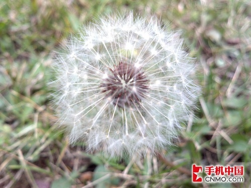 双核最强战摩托罗拉ME865对比三星i9100(5)