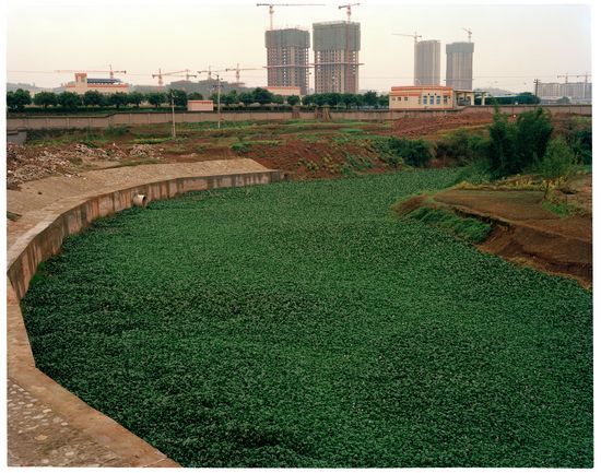 生物入侵调查:水葫芦坐标_科学探索