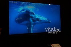 CES2012:��֥չʾ4K��������3D����������