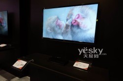 CES2012:��֥չʾ4K��������3D����������