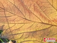 价格仅差10元摩托罗拉RAZR对比I9100(4)