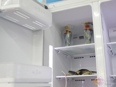 门中门冰箱具创意 LG新品冰箱受捧