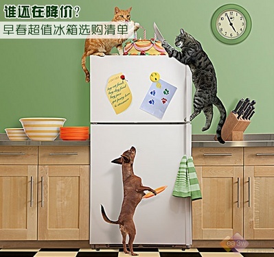 谁还在降价?早春超值冰箱选购清单