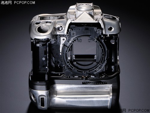 专业品质单反相机尼康D7000记录美丽瞬间(2)
