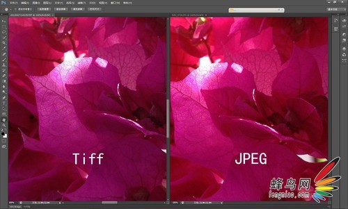 使用645pro拍摄的tiff和jpeg格式照片对比