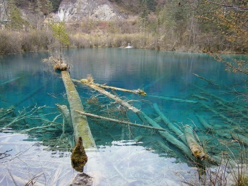 时尚又可爱的卡片DC 奥林巴斯D710评测