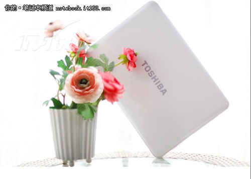 ������ӡ���� ��֥M800-T01W����4990Ԫ