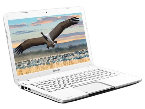 ʤ�δ�����Ϸ��֥L800-S06W����4499Ԫ