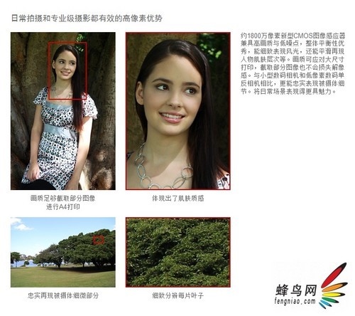 更重画质表现 从EOS M看单电格局新变化 更重画质表现 从EOS M看单电格局新变化