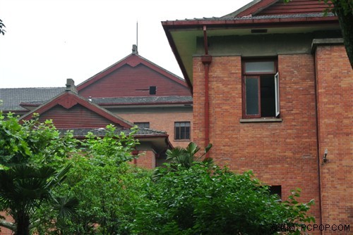 夏日随手拍尼康V1微单相机试用体验