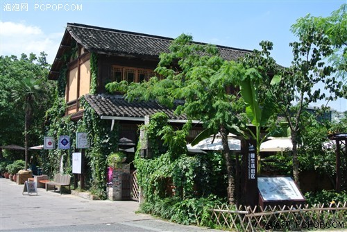 夏日随手拍尼康V1微单相机试用体验