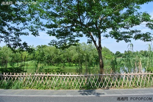 夏日随手拍尼康V1微单相机试用体验