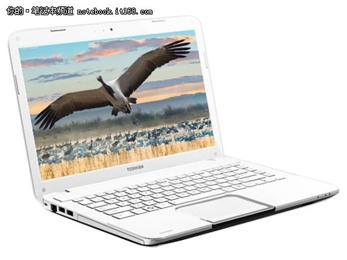 ��ʾЧ�����涫֥L800-C02W�ۼ�4800Ԫ