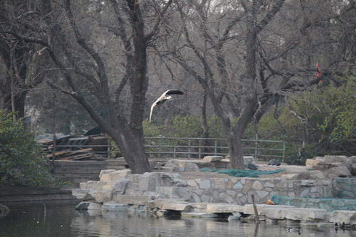 奥运会上的神器细谈佳能1DX使用体验