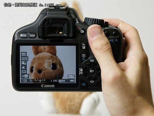 �������ŵ�������550D�׻���3950Ԫ