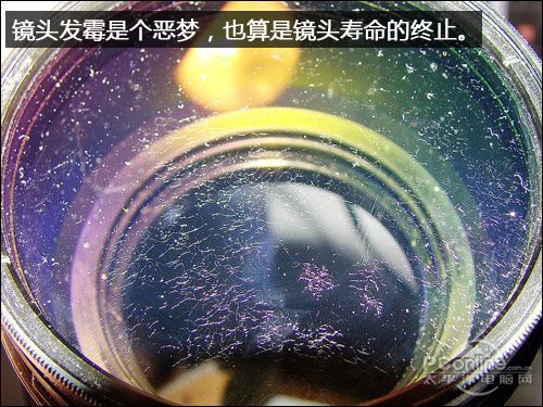 别说你不知16条可让相机报废的使用禁忌