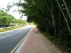 iPhone5/4S/С��2/I9300�������ŶԱ�(2)