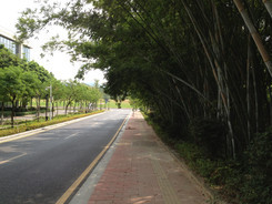 iPhone5/4S/С��2/I9300�������ŶԱ�(2)