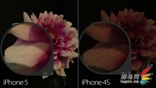 ЧЧΣiPhone5PKڻ