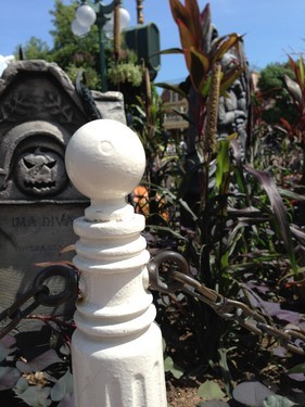 �ٶȸ�����ʾ������ iPhone 5�������� 