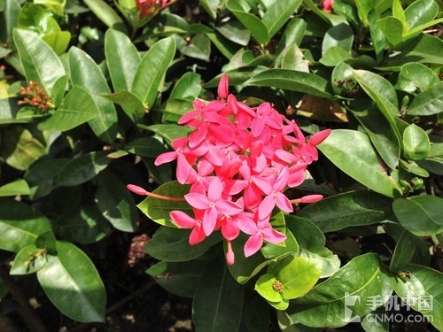 �ٶȸ�����ʾ������ iPhone 5�������� 