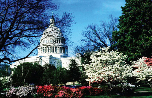 ���Ͻ�ͷ�ĳ���17�г��з����Ӱ����