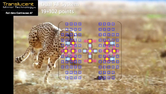 仅6支镜头支持索尼A99的102点自动对焦系统