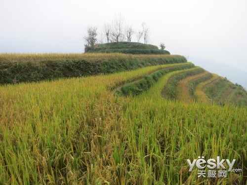 强芯旗舰DC的Wi-Fi视界佳能S110深度评测(2)