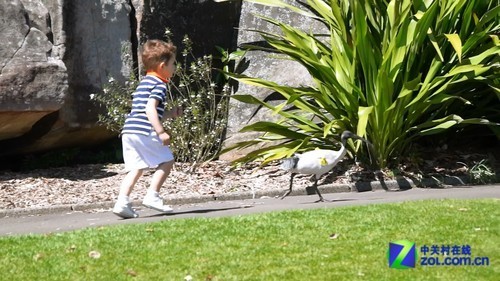 全球首款全画幅半透镜单电索尼A99评测