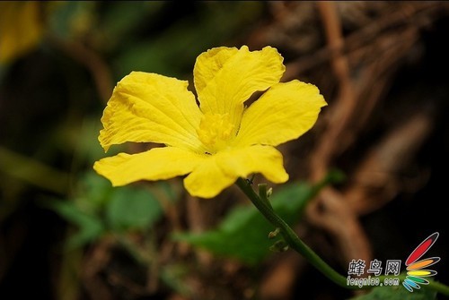 巧用不同感光度创造出极具胶片感照片|感光度