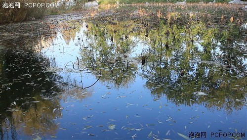 画质堪比入门单反佳能EOSM详细评测