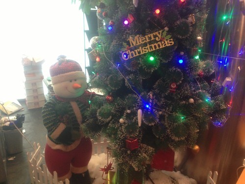 细节仍有不同 联通&电信iPhone 5全对比