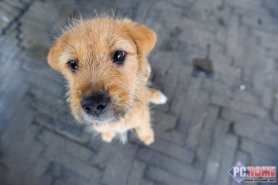 半幅必入超广角图丽二代12-24mmF4评测