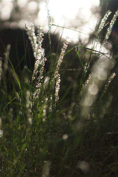 优质微单定焦镜头 索尼E35mmF1.8评测(2)|镜
