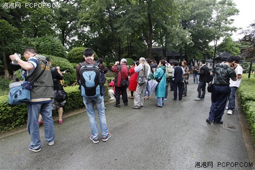 尼康游中国常熟虞山公园外拍站体验