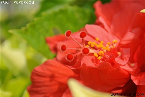 ����/΢���ͼ��������ȼ������ѡ