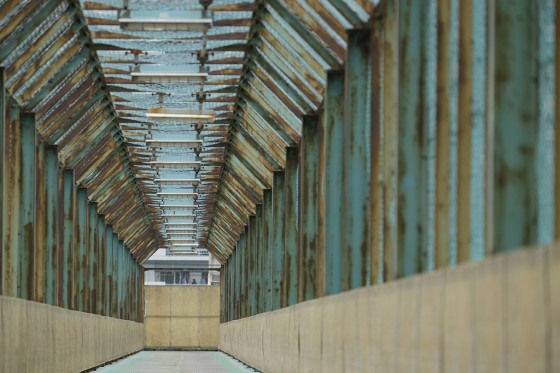 旁轴范的长焦 富士XF 55-200镜头海外体验|配