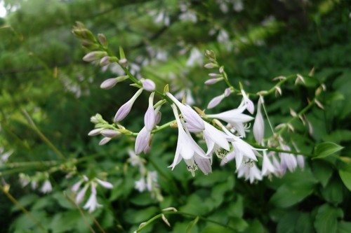 高感提升体验更佳索尼RX100II评测(9)