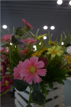 �ڿ�����΢���¾�����RX100�Ա�NEX5R